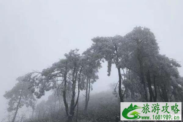 冬天遵义哪里好玩 冬季适合的温泉、赏雪等都有