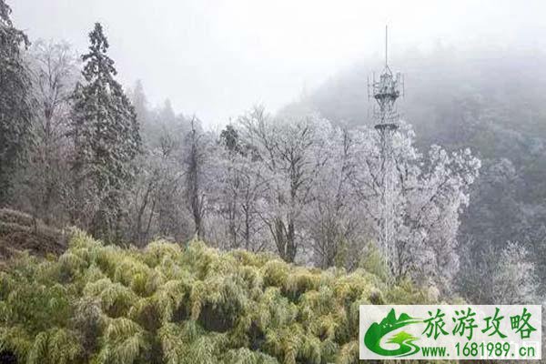 冬天遵义哪里好玩 冬季适合的温泉、赏雪等都有