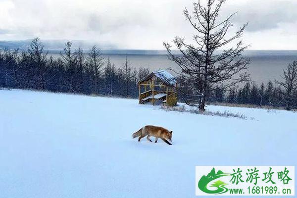 贝加尔湖最佳旅游季节 贝加尔湖冬天值得去吗