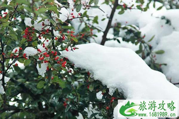 12月25日起云山国家森林公园受低温雨雪天气影响暂时闭园