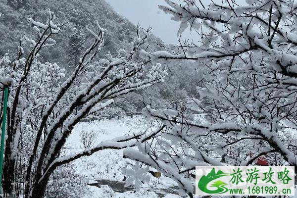 重庆武隆和南川居民免费游玩景区有哪些