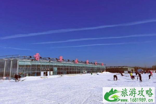 济南滑雪场哪个好玩 每一个体验感都很棒