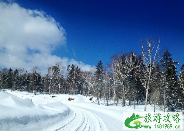 哈尔滨几月开始下雪 哈尔滨冬天有多冷