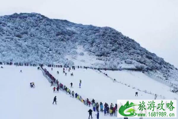 金佛山门票多少钱一张