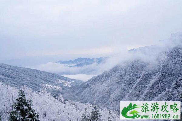 重庆金佛山看雪最佳时间