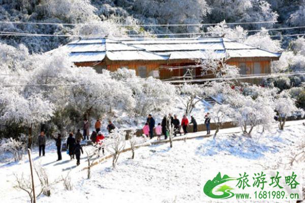 重庆金佛山看雪最佳时间