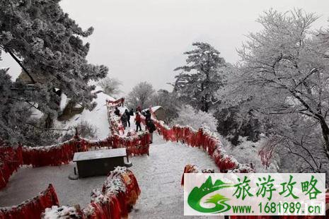 华山下雪了吗 华山雪景冬天攻略