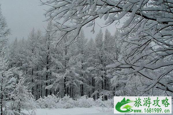 冬季旅游注意事项 冬天旅行需要注意什么