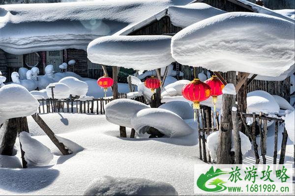 最适合冬季旅游的地方有哪些 看雪、避寒、小众等地都方推荐给你