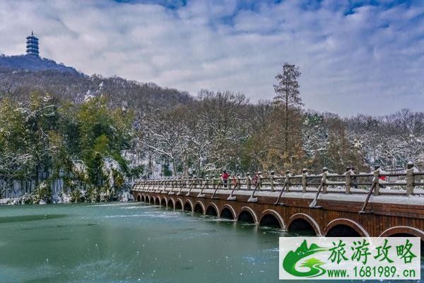 最适合冬季旅游的地方有哪些 看雪、避寒、小众等地都方推荐给你