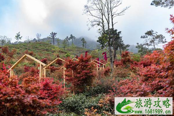 福州永泰青云山赏枫叶指南