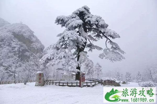 2021西安翠华山滑雪场开放时间及早鸟票详情