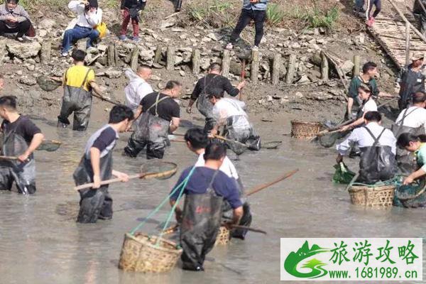 2021西溪湿地干塘节时间及门票-活动内容