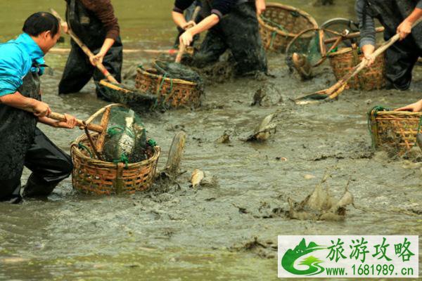 2021西溪湿地干塘节时间及门票-活动内容