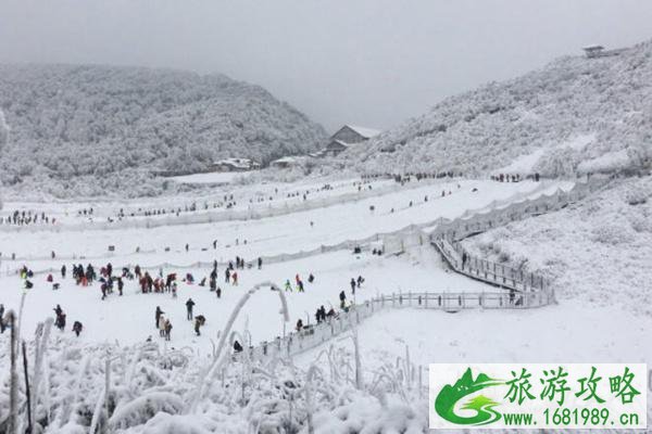 2021金佛山牵牛坪滑雪场开放时间及门票价格