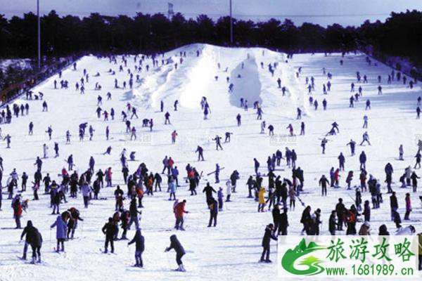 沈阳去哪里可以滑雪