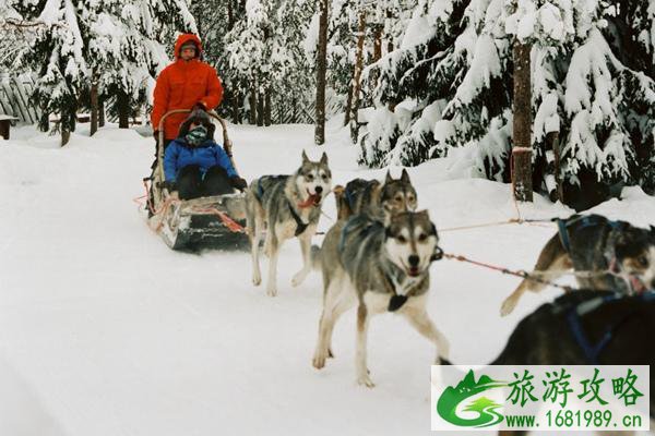 冬季去芬兰旅游的优势 这些冬天必打卡的景点值得看看 冬季去芬兰旅游的优势 这些冬天必打卡的景点值得看看