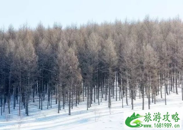 冬天看雪去哪里比较好 冬季赏雪胜地