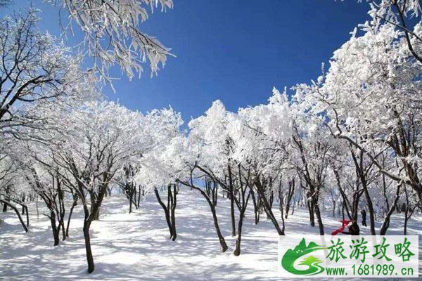 栾川冬季旅游哪儿好玩 适合冬天玩的栾川景点