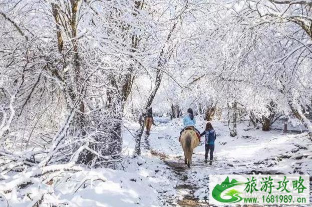 四姑娘山冬天好玩吗 四姑娘山冬季旅游攻略