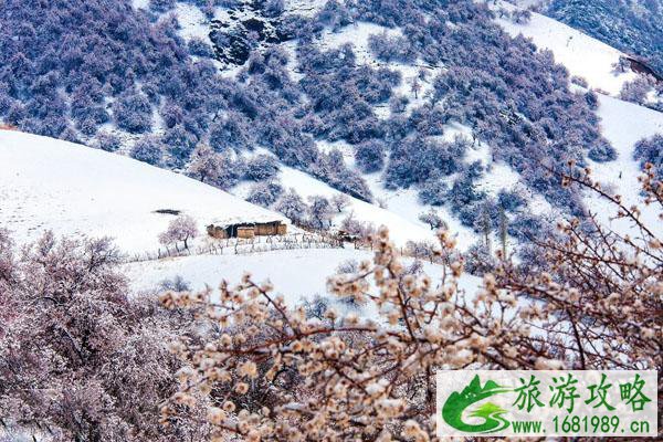 伊犁冬天旅游必去的几个景点推荐