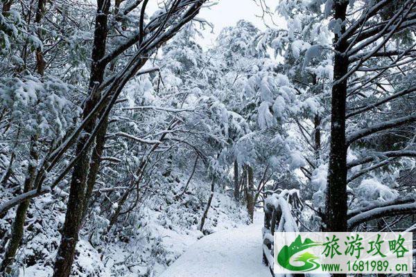 巴山大峡谷冬天怎么耍