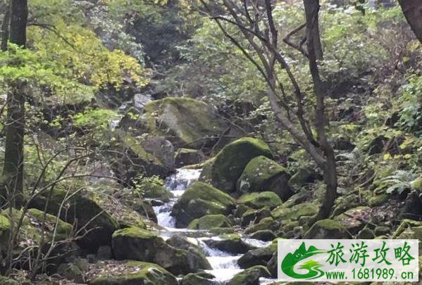 2021冬季洛阳白云山森林防火期封闭部分旅游步道