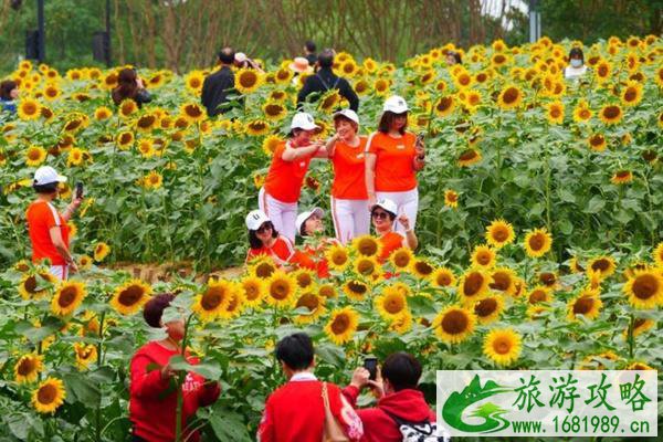 武汉马鞍山森林公园自助游玩攻略