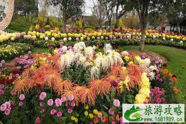 2021宁波植物园菊花展开始时间-附交通指南