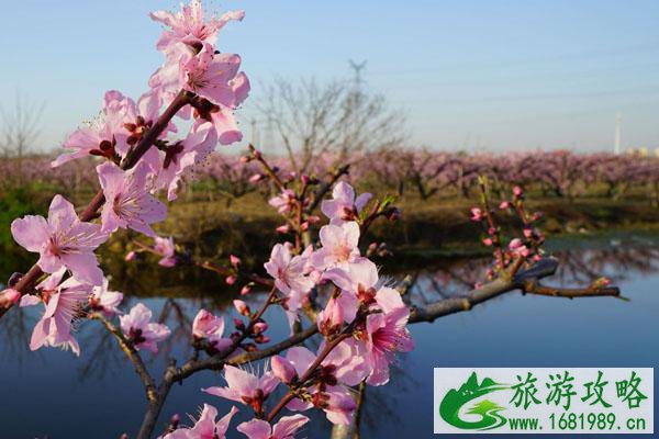 无锡阳山桃花源景区门票及游玩攻略