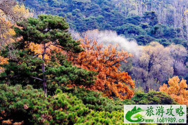 温州苍南必去旅游景点推荐