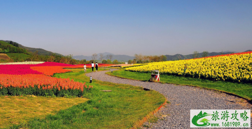 2021国庆杭州径山花海活动-动漫节