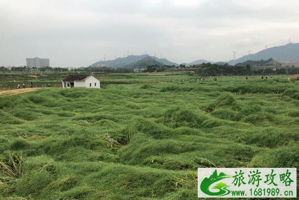 2021国庆节深圳哪里好玩