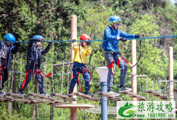 2021常州太湖湾露营谷首届菊花展时间及游玩项目介绍