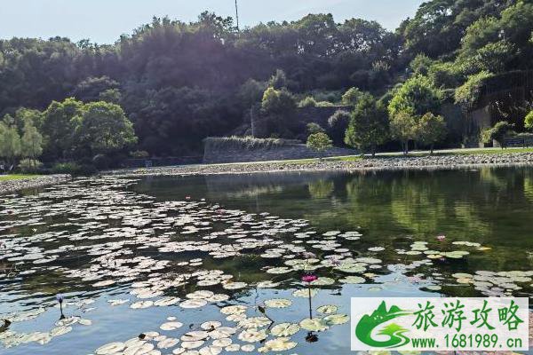 2021年上海辰山植物园医师节优惠活动