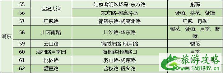 上海打造118条花道 上海全市各区域花道汇总