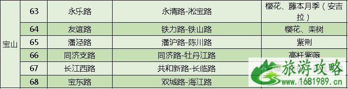 上海打造118条花道 上海全市各区域花道汇总