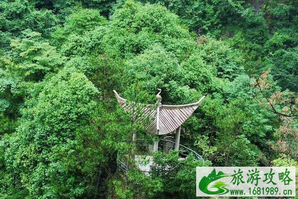 受疫情影响8月台州天台山景区实行限流