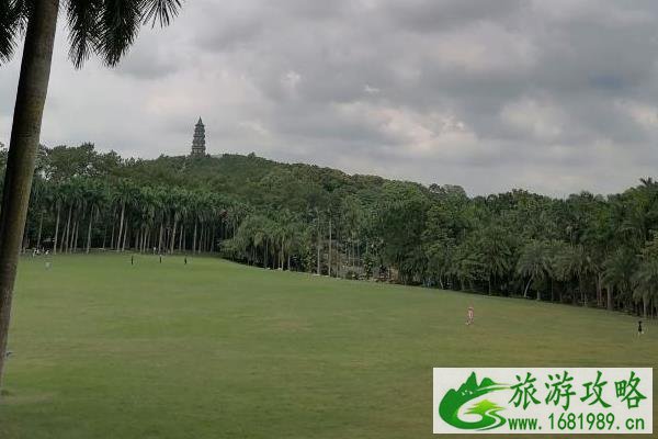 南宁暂停青秀山风景区夜游等景点景观灯开放