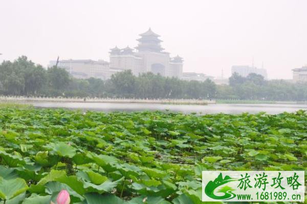 北京市内避暑好去处  北京市避暑什么地方好