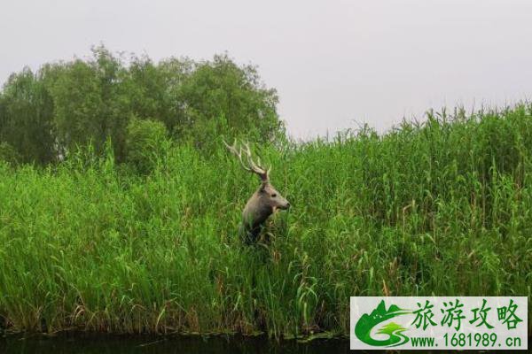 泰州夏天适合去哪里玩