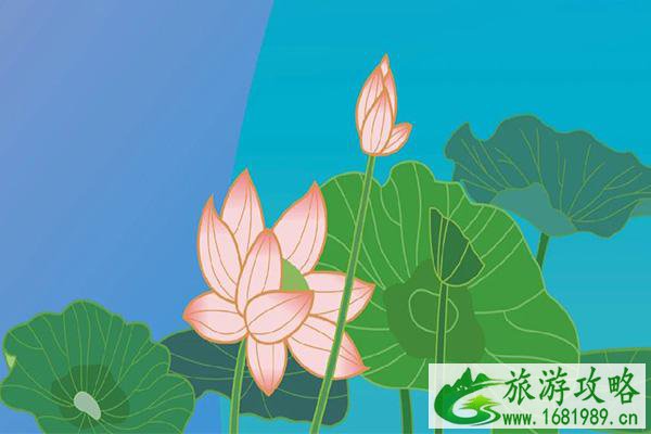 2021绍兴荷花节活动地址-时间