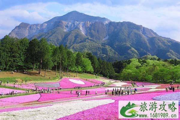 南京栖霞有什么好玩的地方-景点推荐