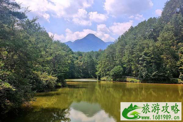 丽水周边好玩的旅游景点推荐