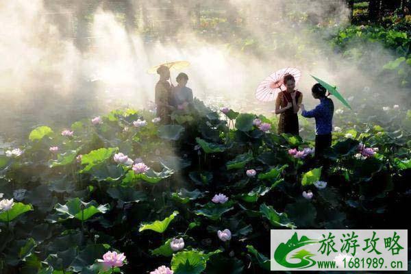 湘潭盘龙大观园门票多少钱-景区介绍