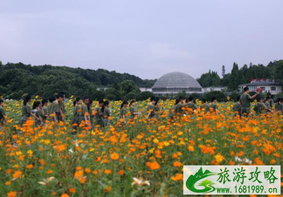 湖南省植物园现在可以看什么花