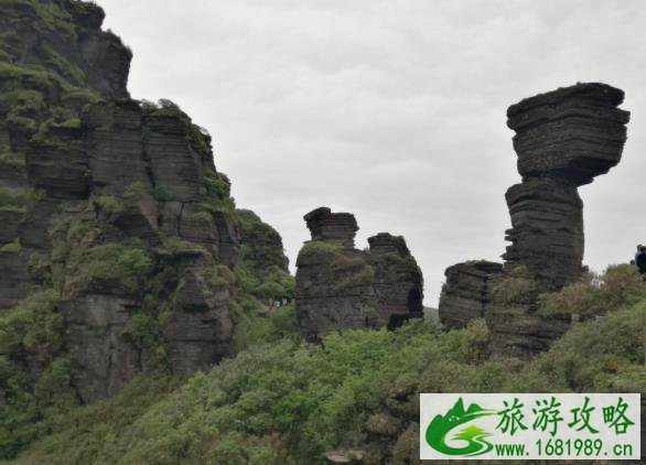 梵净山一日游攻略旅游攻略