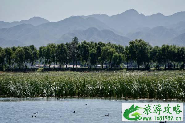 北京市内景点推荐 北京旅游去哪