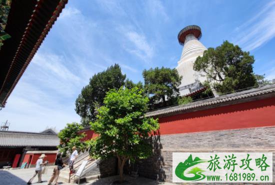 2021妙应寺白塔开放了吗 端午节妙应寺白塔开放时间