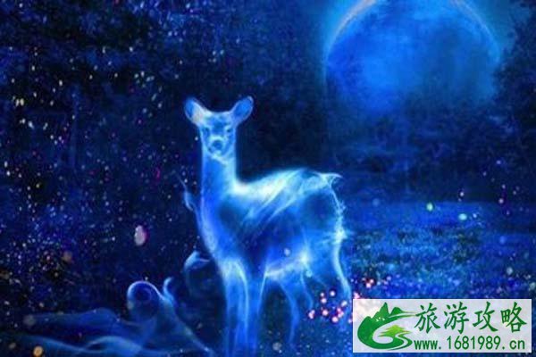 2021年南宁园博园幻光潮园会游玩攻略-时间-地点-交通